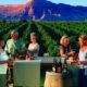 Palisade wine festival