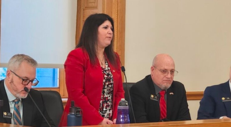 Rose Pugliese politician