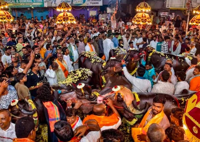 community festival crowd