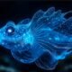 deep sea fish