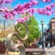 grand junction colorado downtown