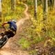 mountain bike trails