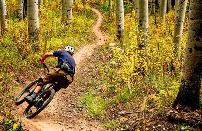mountain bike trails