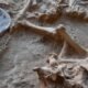 South African horned serpent rock art
