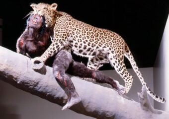 ancient human fossils leopard bite