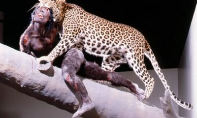ancient human fossils leopard bite