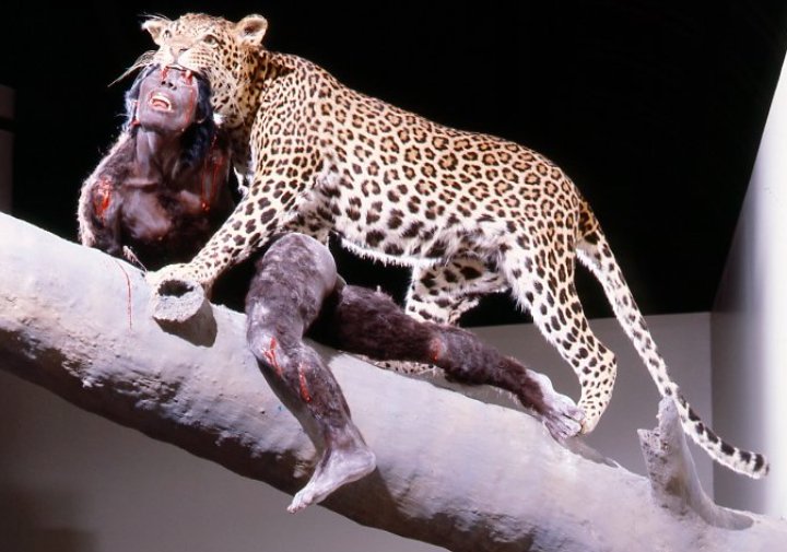 ancient human fossils leopard bite