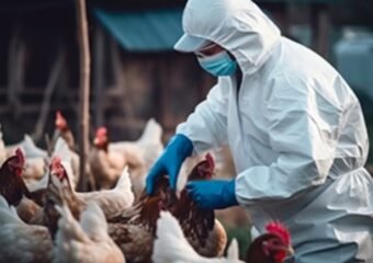 bird flu outbreak Indiana farm