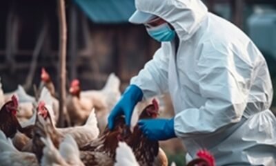 bird flu outbreak Indiana farm