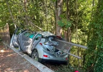 car crash tree Indiana