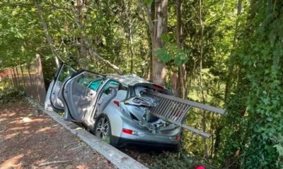 car crash tree Indiana