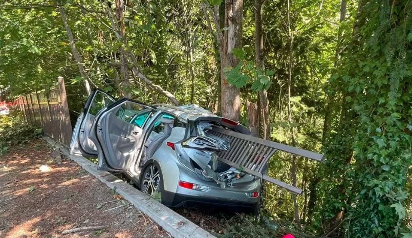 car crash tree Indiana