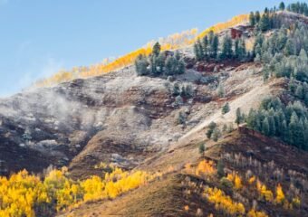 colorado freeze warning landscape
