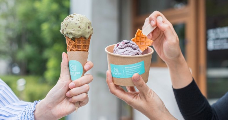 plant based ice cream shop