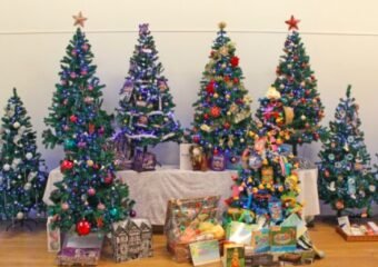 Christmas trees festival display