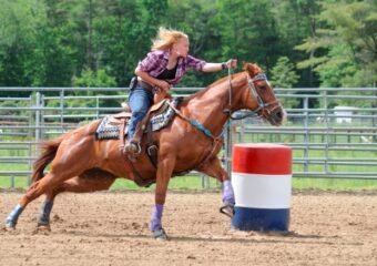 Equine Herpes Virus Outbreak Linked to Rodeos