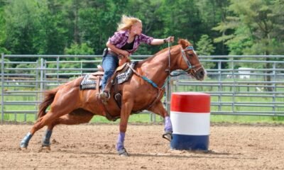 Equine Herpes Virus Outbreak Linked to Rodeos