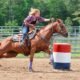 Equine Herpes Virus Outbreak Linked to Rodeos
