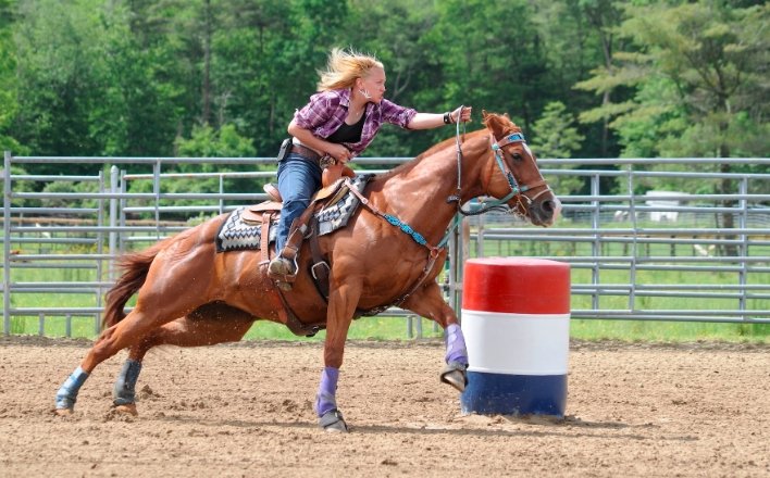 Equine Herpes Virus Outbreak Linked to Rodeos