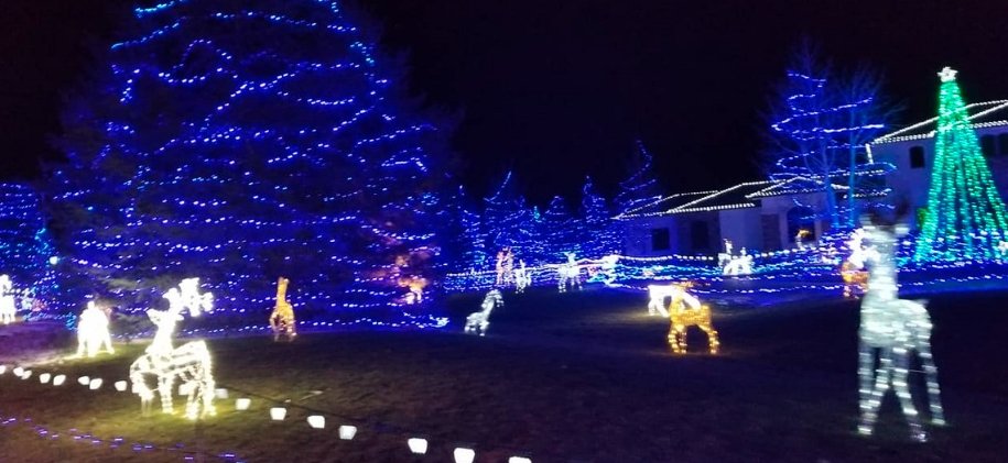 Grand Junction Newcomer Starts Christmas Event