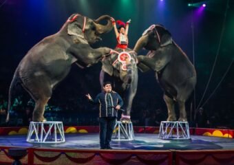 Mizpah Shrine Circus Returns to Fort Wayne