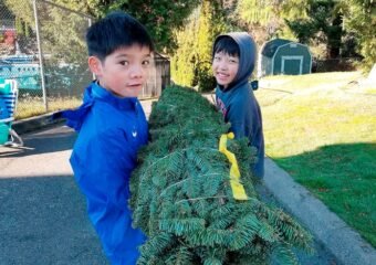 Scout Troop 353 Starts Christmas Tree Fundraiser