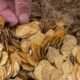 ancient gold coins temple discovery