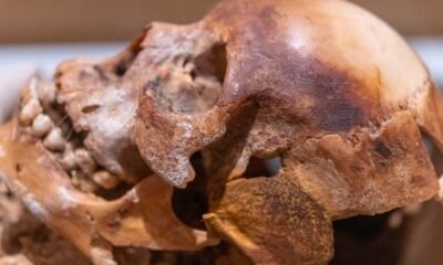 ancient skull archaeology