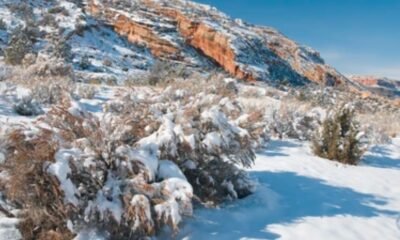 grand junction colorado snow
