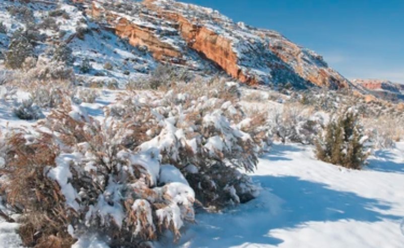 grand junction colorado snow
