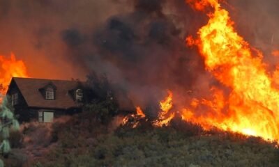 wildfire damaged landscape