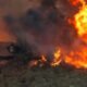 wildfire damaged landscape