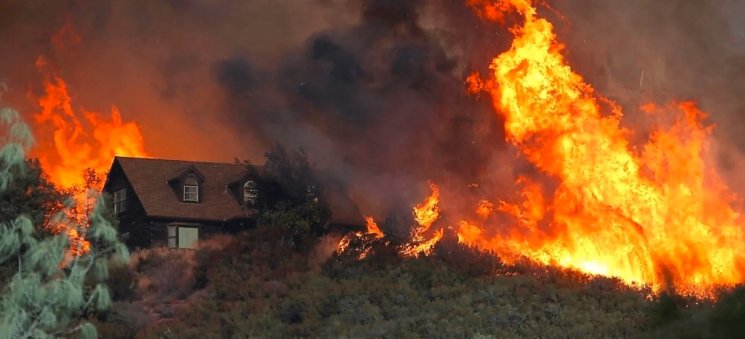 wildfire damaged landscape