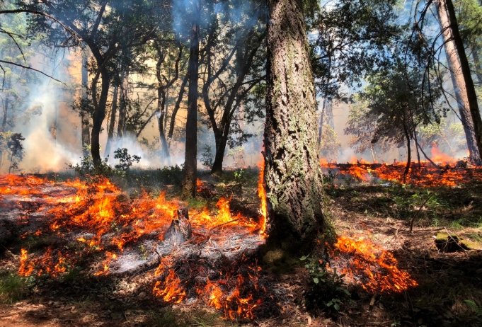 wildfire ranch recovery Colorado