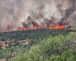 Black Canyon Fire Restoration Efforts Advance