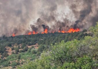 Black Canyon Fire Restoration Efforts Advance