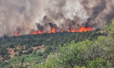 Black Canyon Fire Restoration Efforts Advance