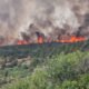 Black Canyon Fire Restoration Efforts Advance