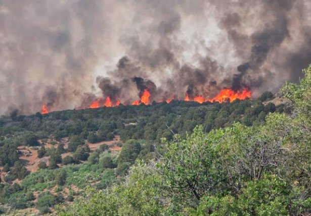 Black Canyon Fire Restoration Efforts Advance
