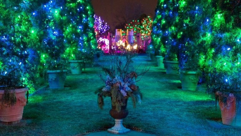 Blue Light Display Lights Up Colorado Gardens