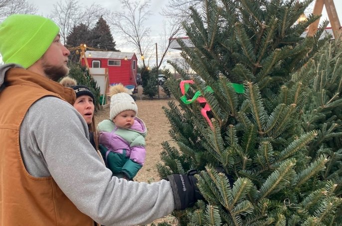 Boy Scouts Uphold Christmas Tree Sales Tradition