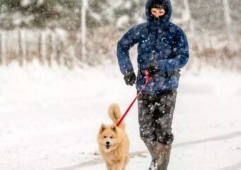 Braces for Chilly 2025 End and Snowy 2026 Start