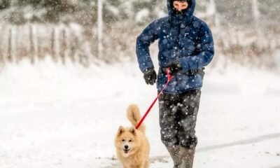 Braces for Chilly 2025 End and Snowy 2026 Start