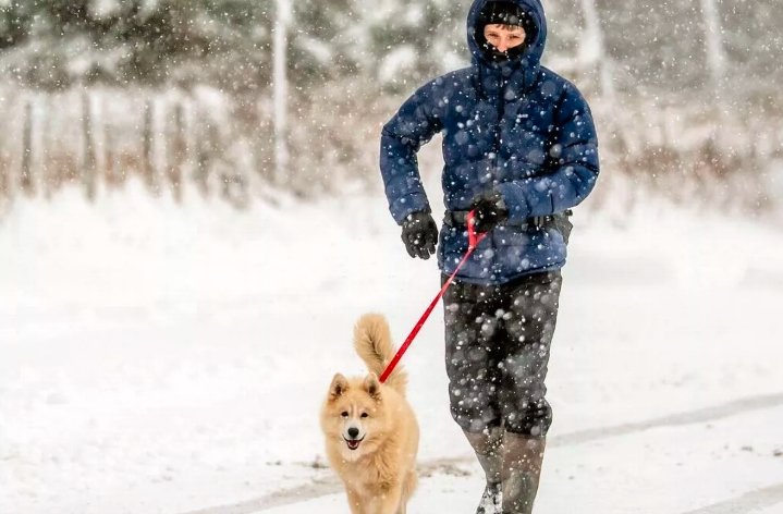 Braces for Chilly 2025 End and Snowy 2026 Start