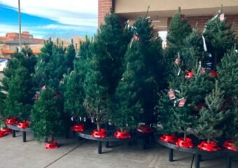 Christmas Tree Prices Rise