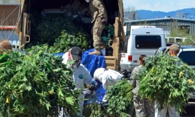 Colorado AG Bans Loma Cannabis Shop Forever