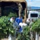 Colorado AG Bans Loma Cannabis Shop Forever