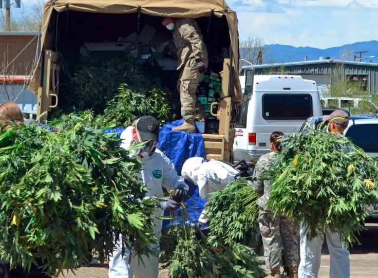 Colorado AG Bans Loma Cannabis Shop Forever