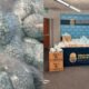 DEA Seizes 665K Fentanyl Pills in Colorado Operation