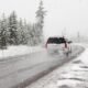 Fight Winter Salt Damage